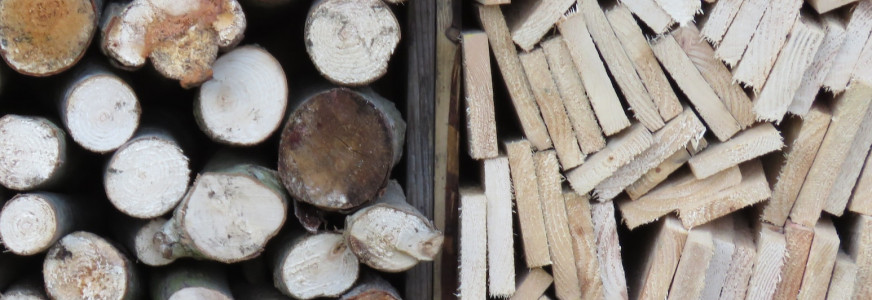 Verplichting voor concerns met meer dan 250 medewerkers