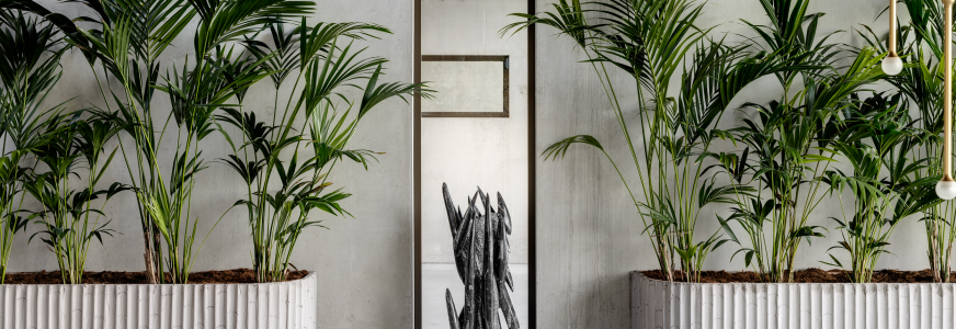 Meer geld voor energiezuinige investeringen van bedrijven in 2024