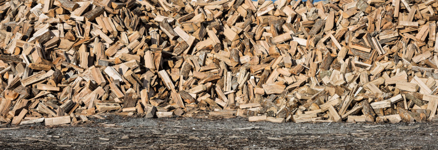 Is biomassa omzetten naar energie wel zo duurzaam?