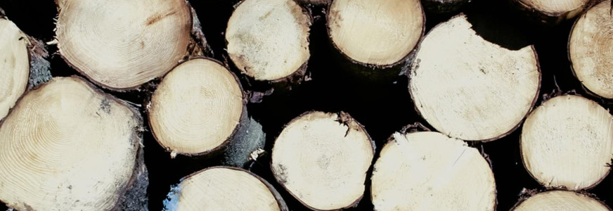 FSC-certificering voor kleine bedrijven