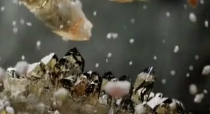 Studiereis Cosentino Spanje