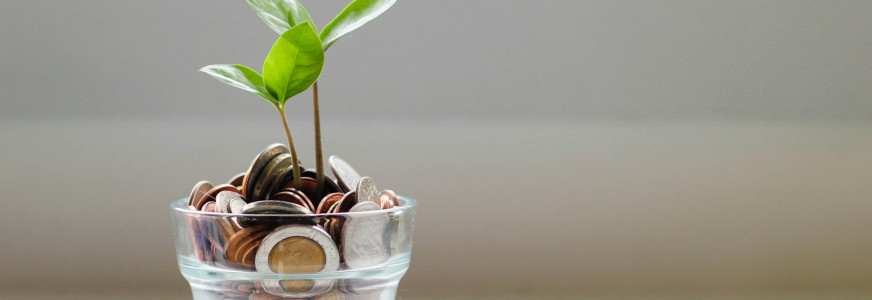 Nog makkelijker subsidies vinden met de vernieuwde CBM-subsidiescan