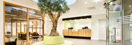 Invoering van de EUDR uitgesteld