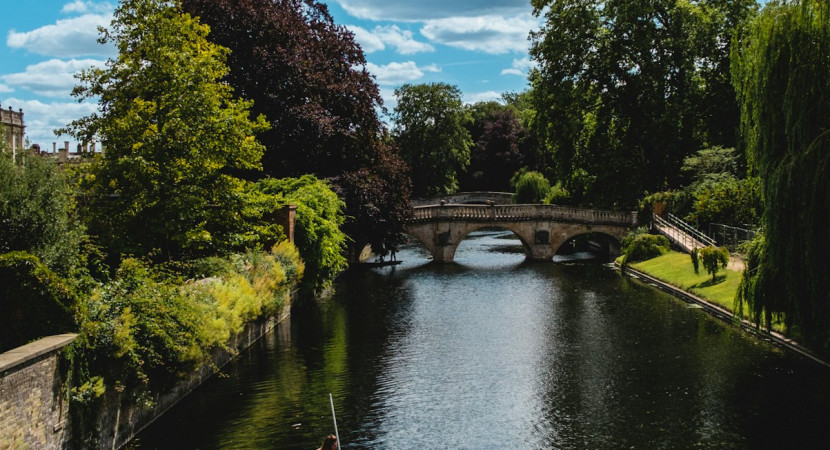 Buitenlandse reis Jong Management