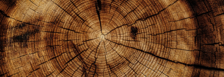 Nieuwe publicatie van de Nederlandse Arbeidsinspectie over houtstof